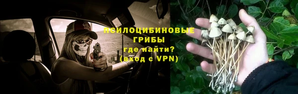 ПСИЛОЦИБИНОВЫЕ ГРИБЫ Алексин