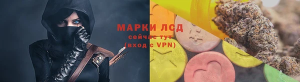 ПСИЛОЦИБИНОВЫЕ ГРИБЫ Алексин