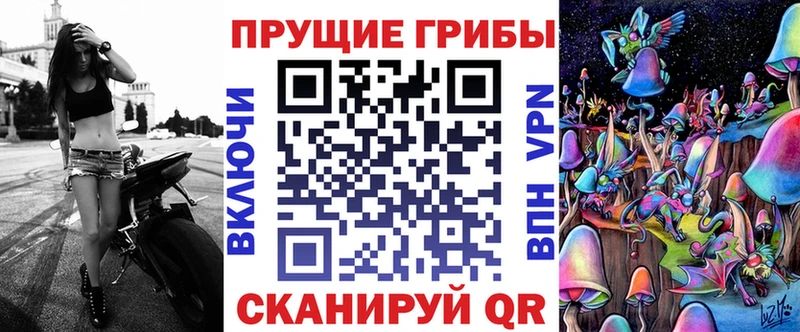 Псилоцибиновые грибы Psilocybe  Салехард 